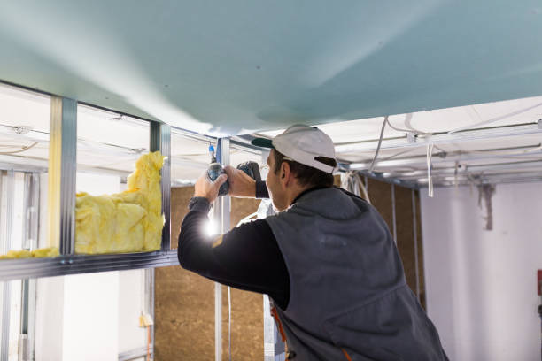 Best Spray Foam Insulation in Roosevelt, NY