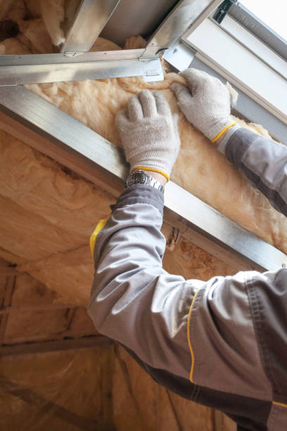 Best Residential Insulation in Roosevelt, NY