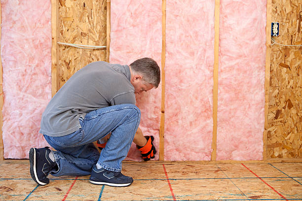 Best Blown-in Insulation in Roosevelt, NY